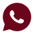 WhatsApp Chat Icon